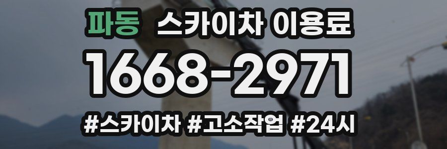 파동 스카이차 이용료