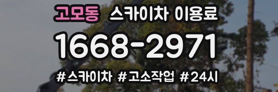 고모동 스카이차 이용료