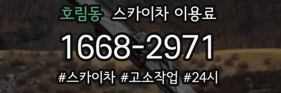 호림동 스카이차 이용료