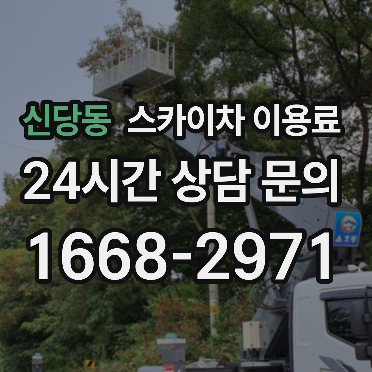 신당동 스카이차 이용료 비교 시 장비 상태도 중요한 이유