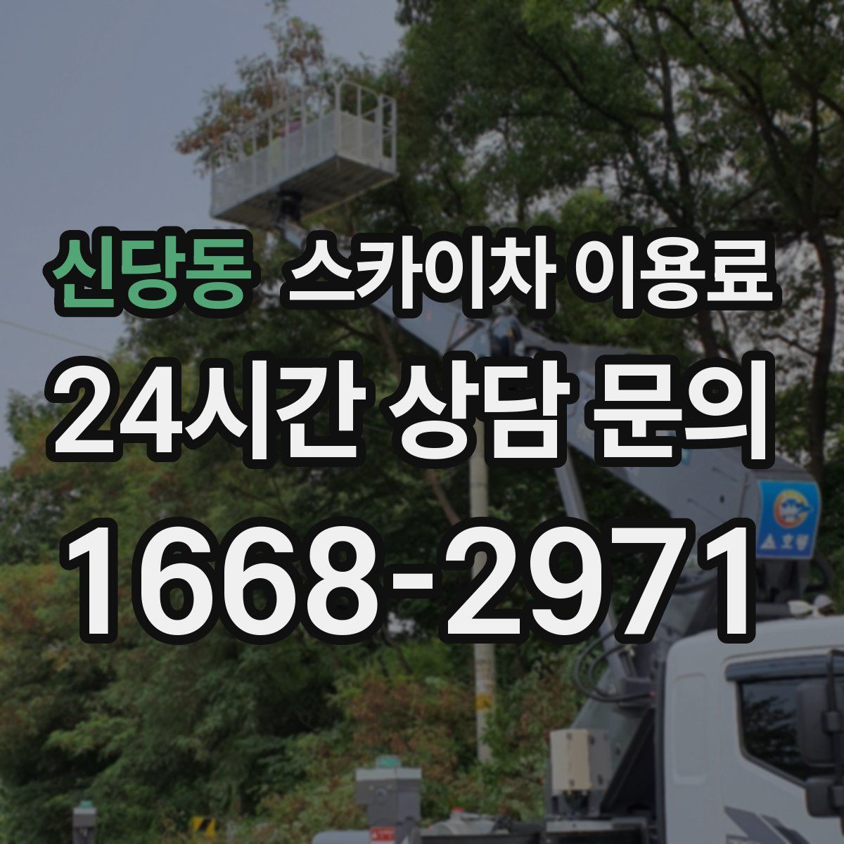 신당동 스카이차 이용료