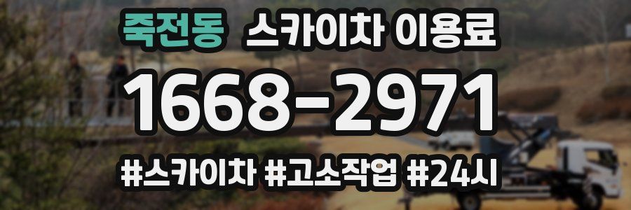 죽전동 스카이차 이용료