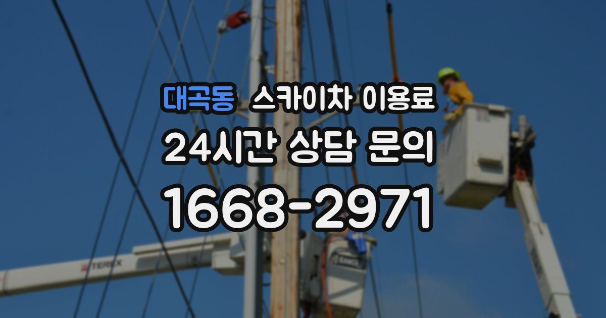 대곡동 스카이차 이용료