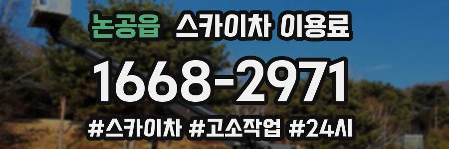 논공읍 스카이차 이용료