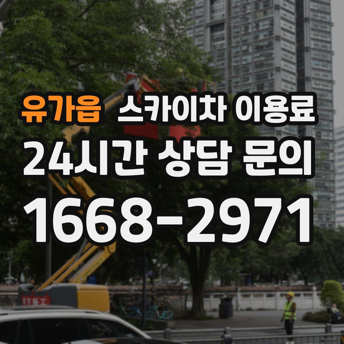 유가읍 스카이차 이용료
