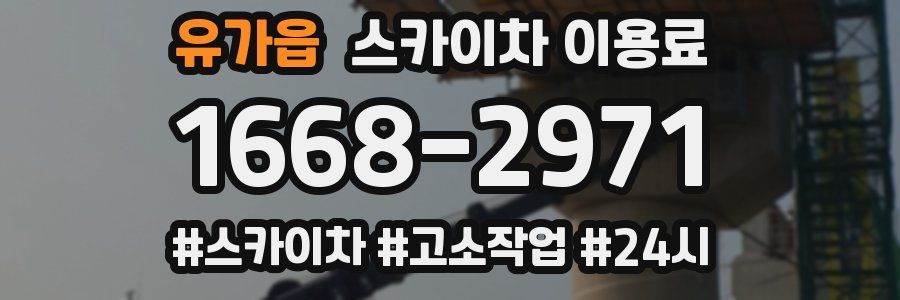 유가읍 스카이차 이용료