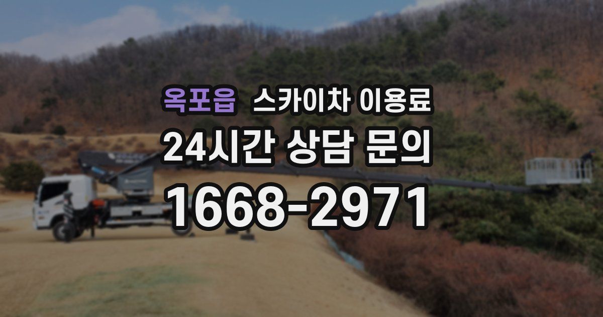 옥포읍 스카이차 이용료