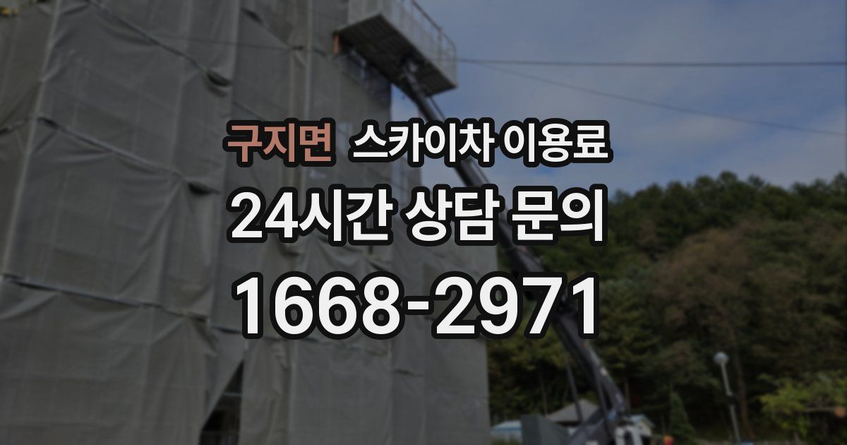 구지면 스카이차 이용료