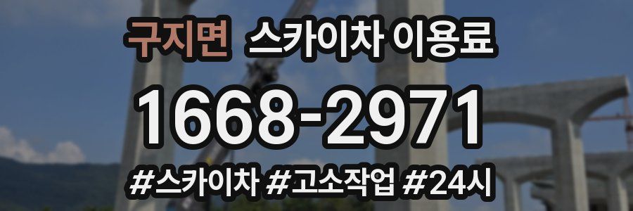 구지면 스카이차 이용료
