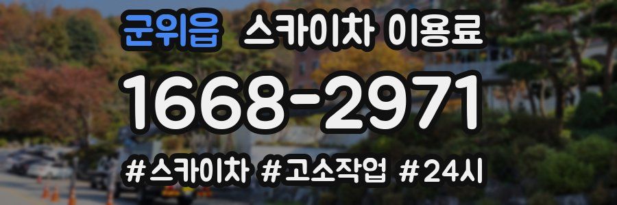 군위읍 스카이차 이용료