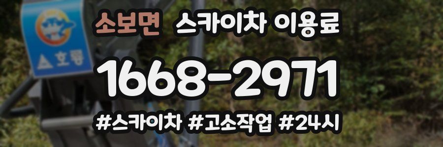 소보면 스카이차 이용료