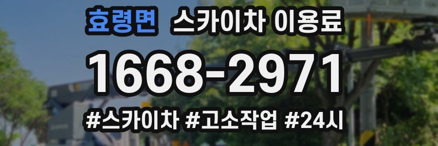 효령면 스카이차 이용료