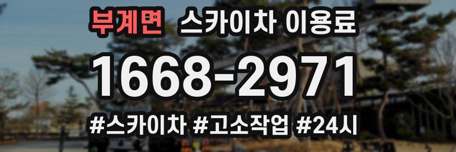 부계면 스카이차 이용료