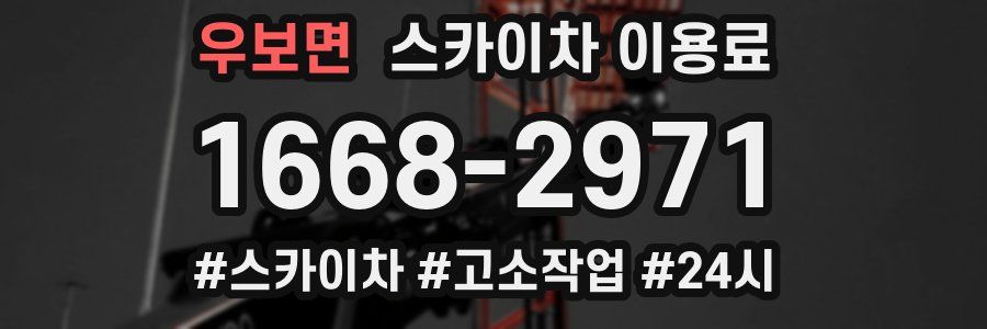 우보면 스카이차 이용료