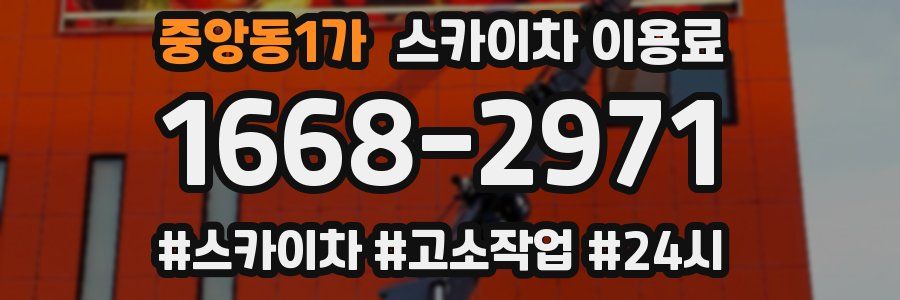 중앙동1가 스카이차 이용료