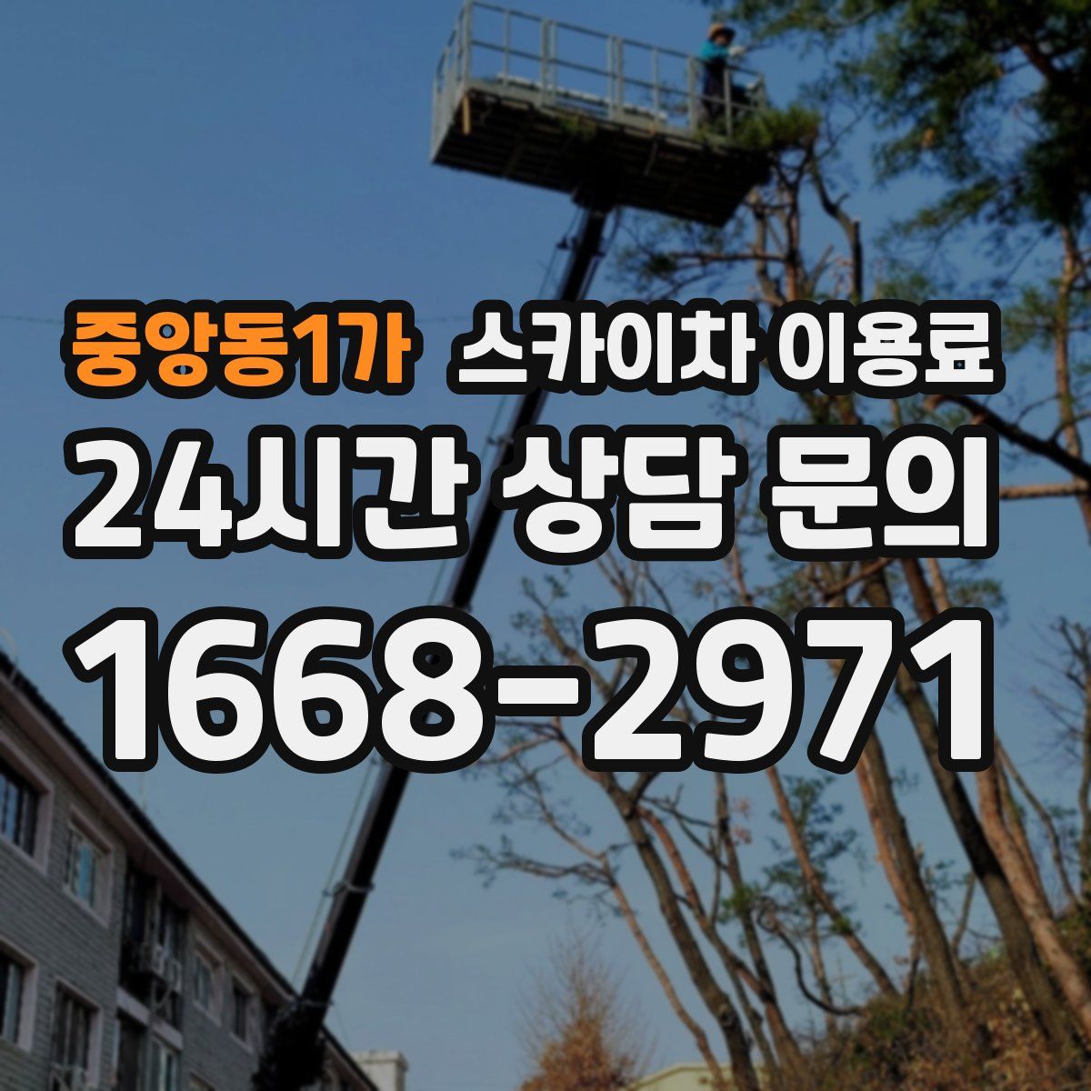 중앙동1가 스카이차 이용료