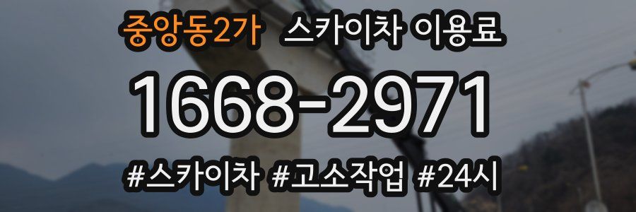 중앙동2가 스카이차 이용료
