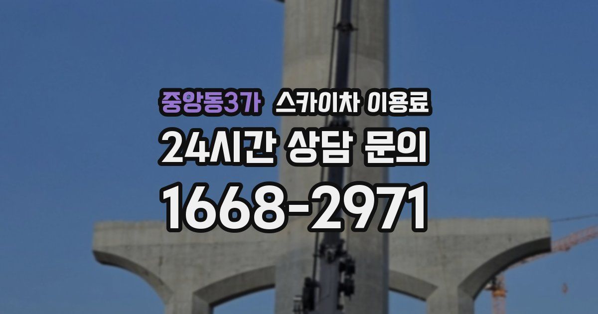 중앙동3가 스카이차 이용료
