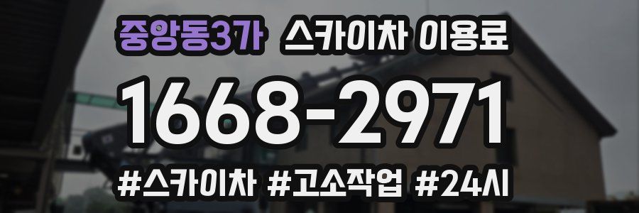 중앙동3가 스카이차 이용료