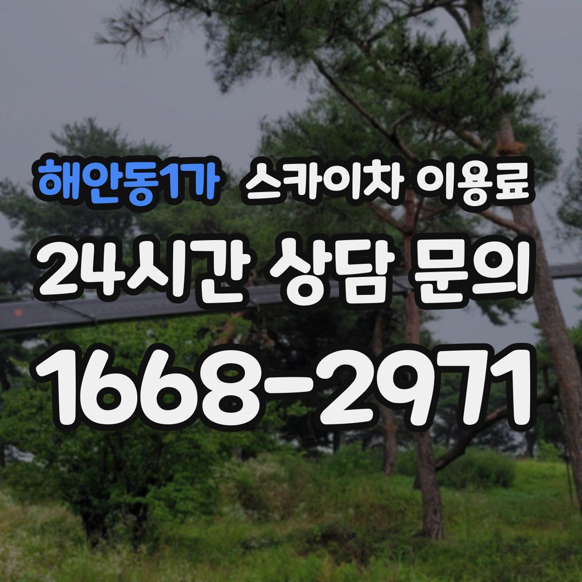해안동1가 스카이차 이용료