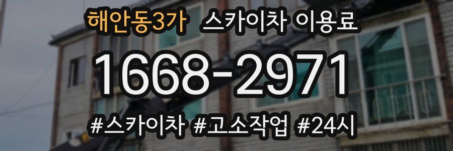 해안동3가 스카이차 이용료