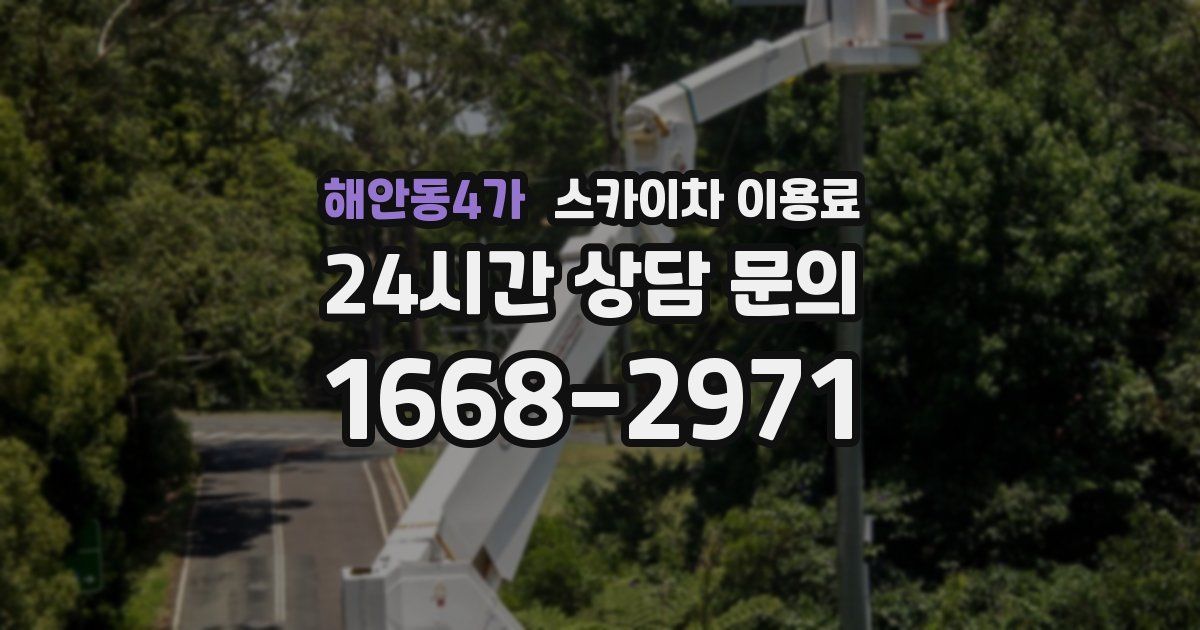 해안동4가 스카이차 이용료