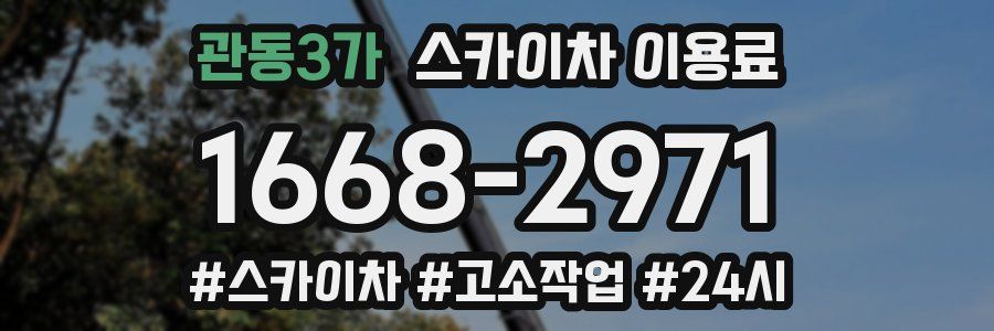 관동3가 스카이차 이용료