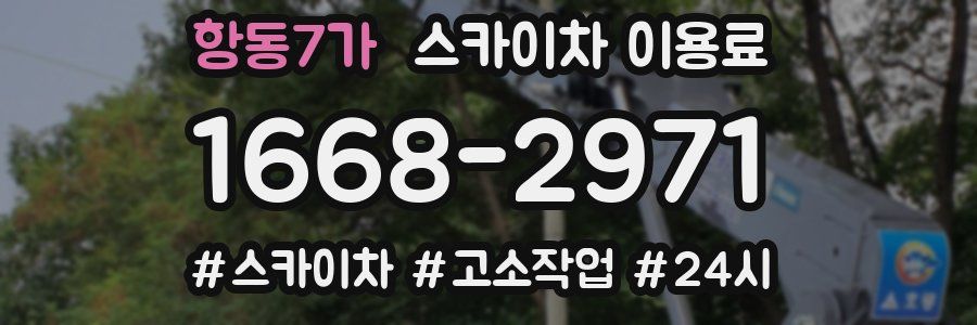 항동7가 스카이차 이용료