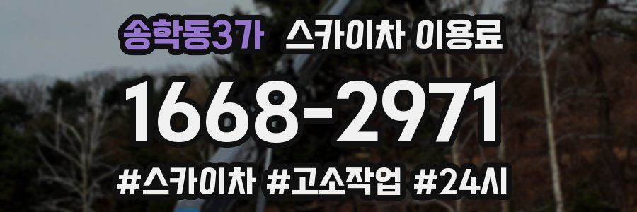 송학동3가 스카이차 이용료