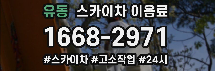 유동 스카이차 이용료