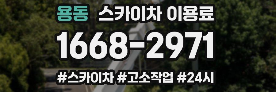 용동 스카이차 이용료