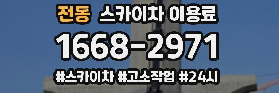 전동 스카이차 이용료