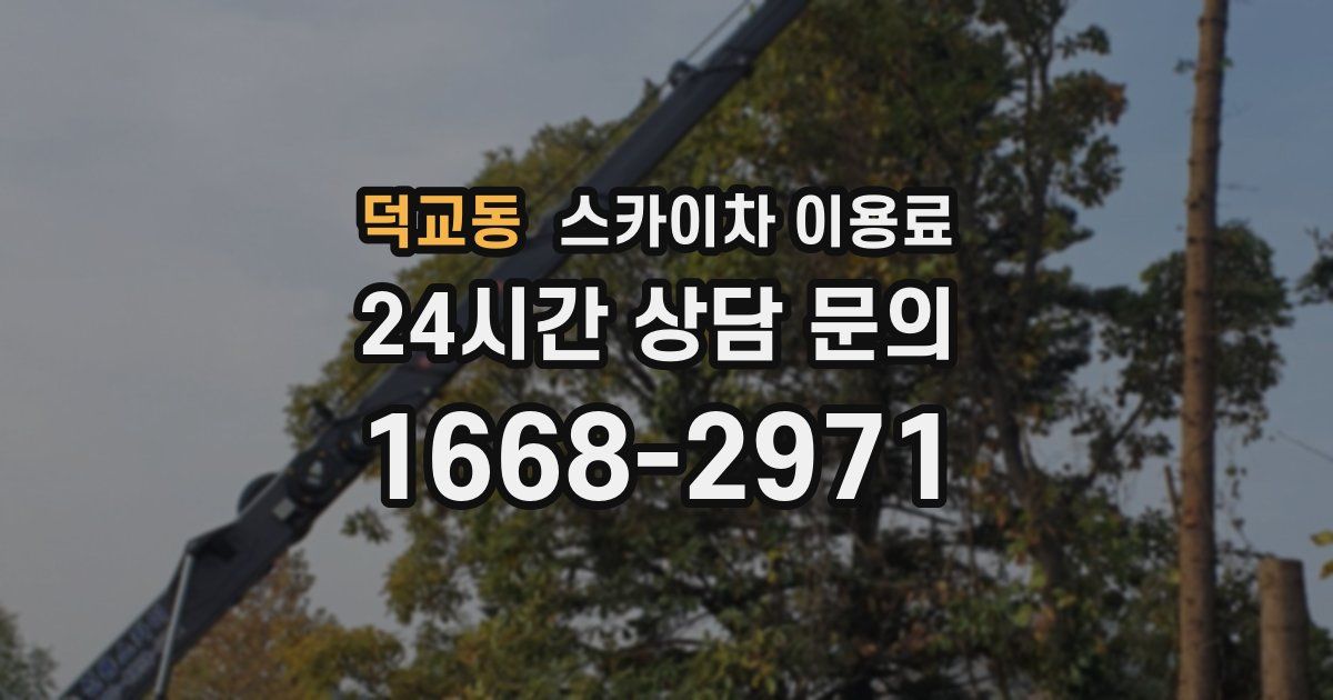 덕교동 스카이차 이용료