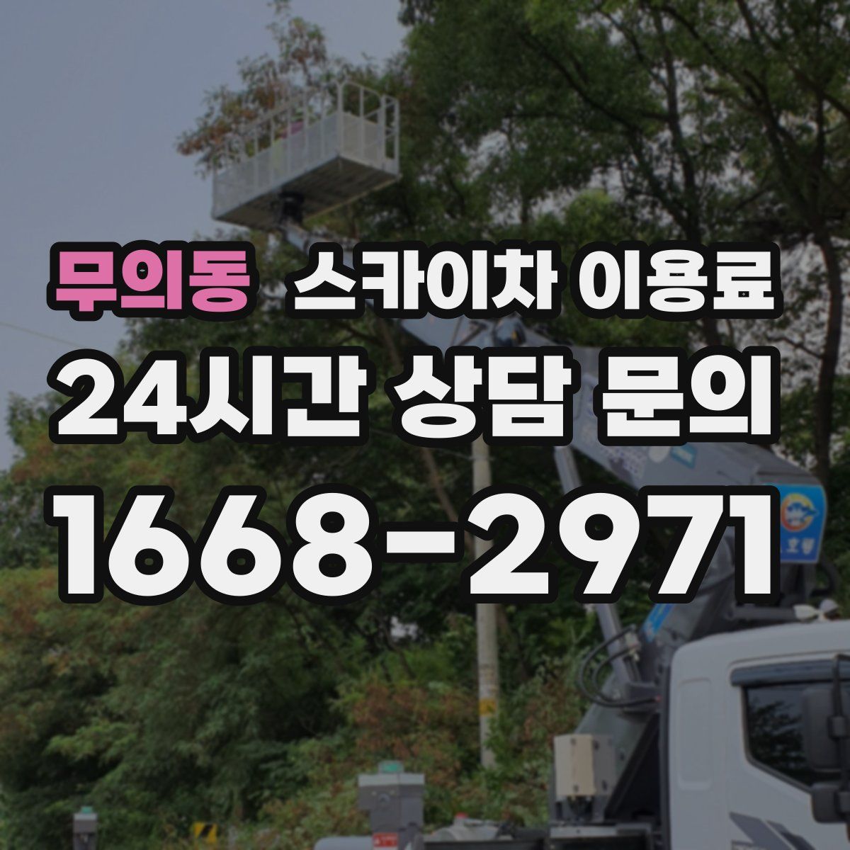 무의동 스카이차 이용료