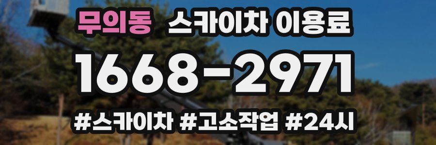 무의동 스카이차 이용료