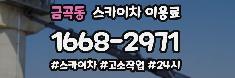 금곡동 스카이차 이용료