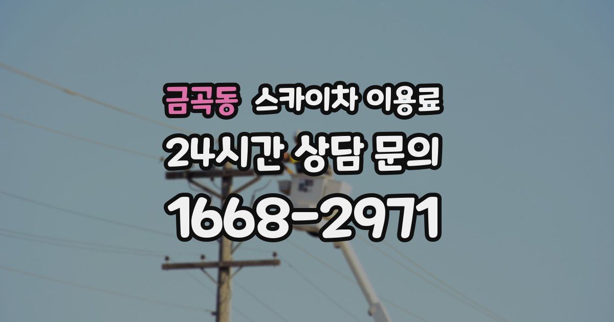 금곡동 스카이차 이용료