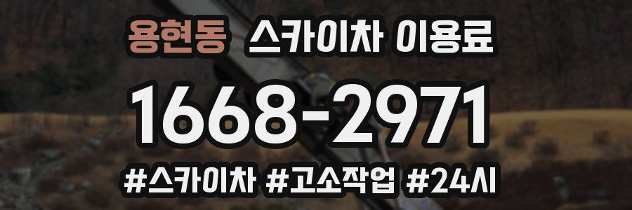 용현동 스카이차 이용료