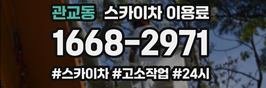 관교동 스카이차 이용료