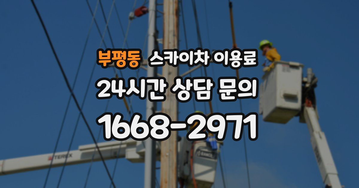 부평동 스카이차 이용료