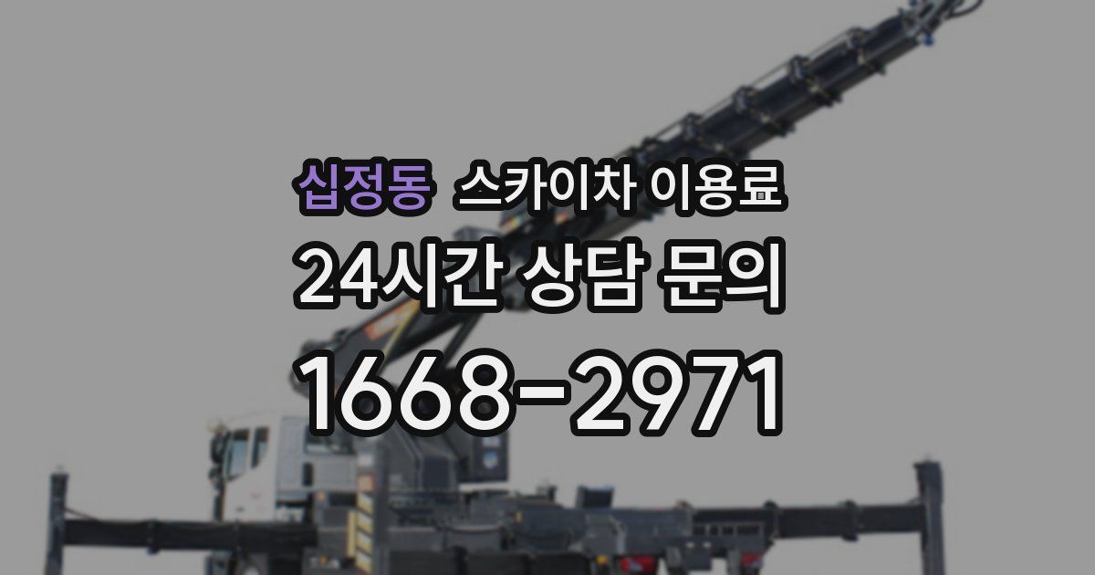 십정동 스카이차 이용료