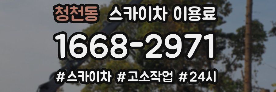 청천동 스카이차 이용료