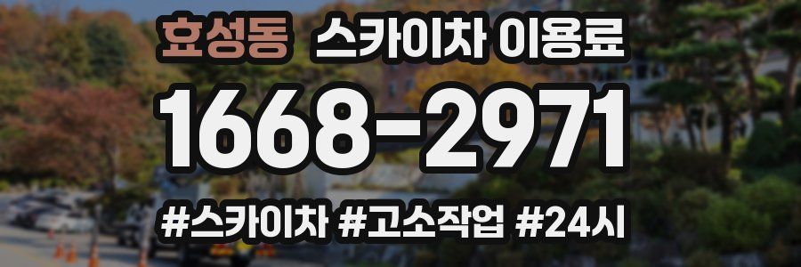효성동 스카이차 이용료