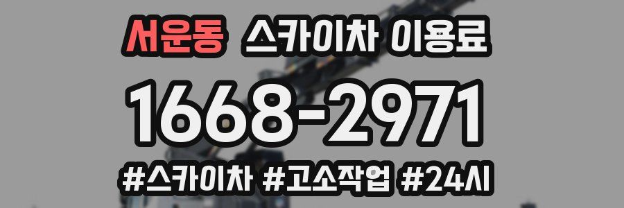 서운동 스카이차 이용료