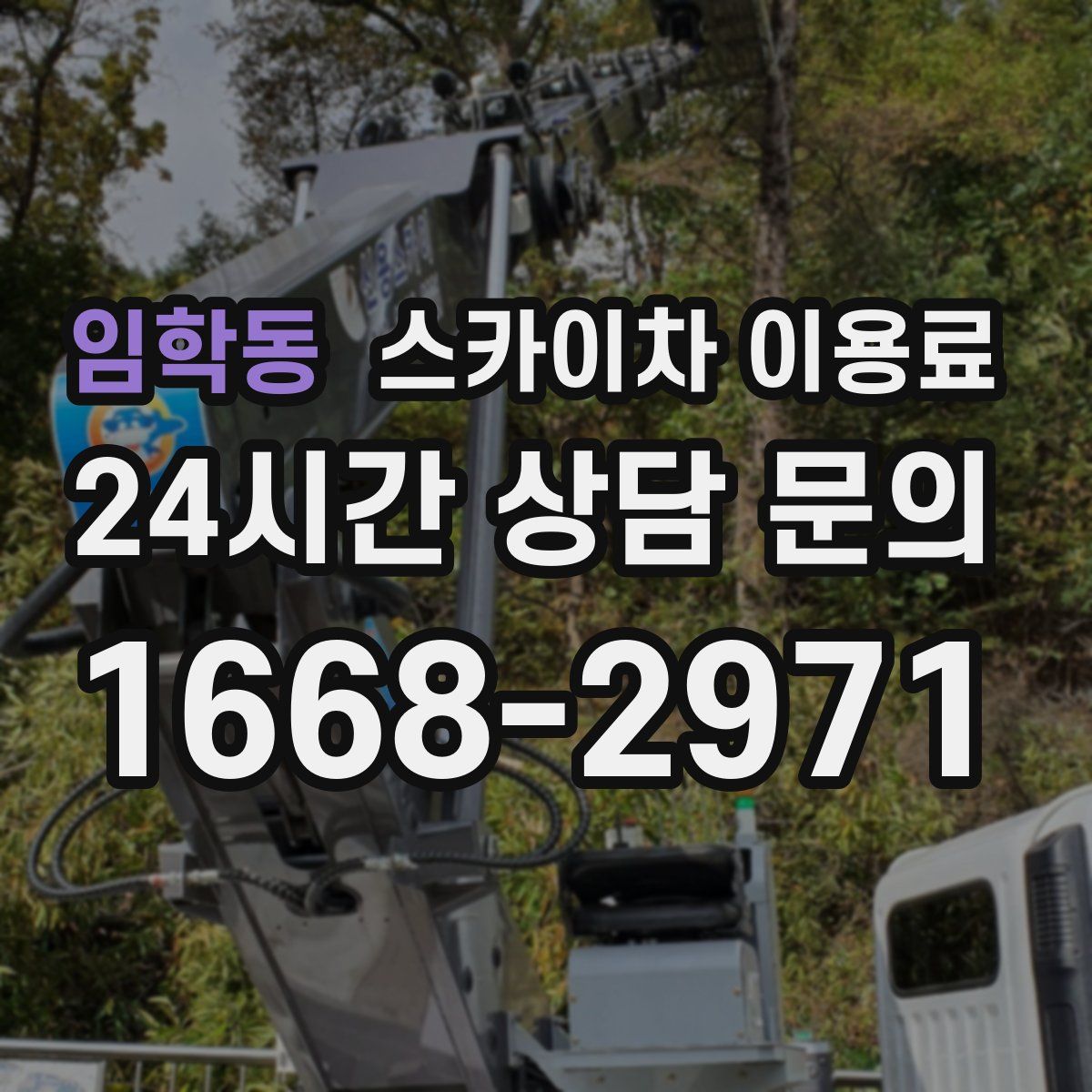임학동 스카이차 이용료