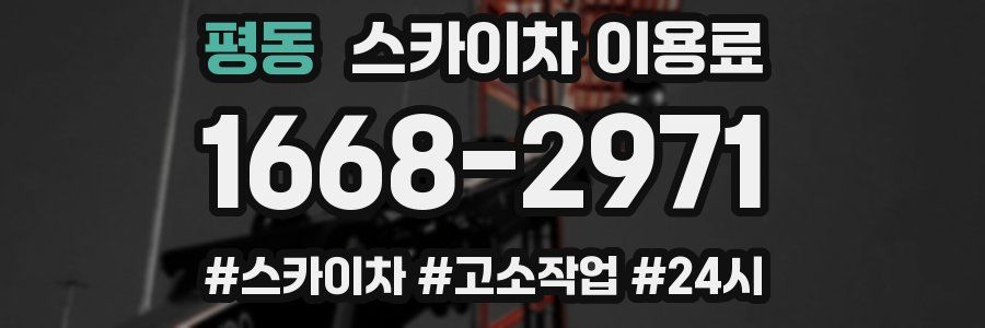 평동 스카이차 이용료