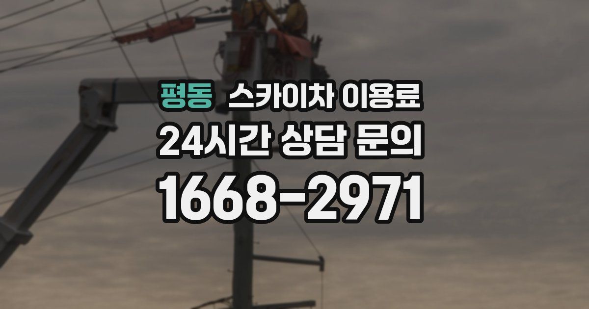 평동 스카이차 이용료