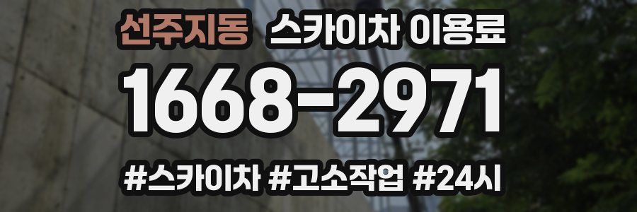 선주지동 스카이차 이용료