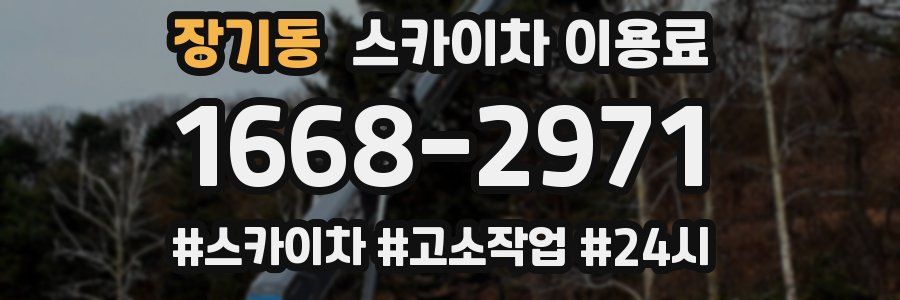 장기동 스카이차 이용료
