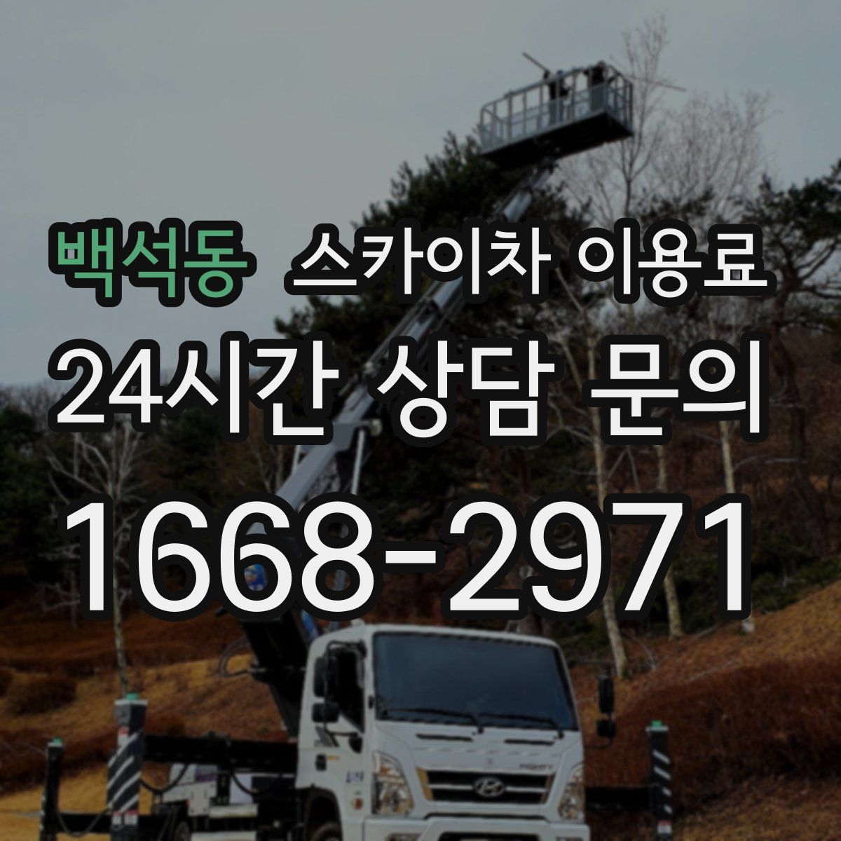 백석동 스카이차 이용료